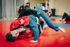 Tournament-84
