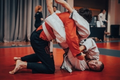 Tournament-96